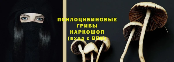 молекула духа Алзамай
