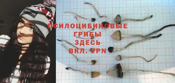 молекула духа Алзамай