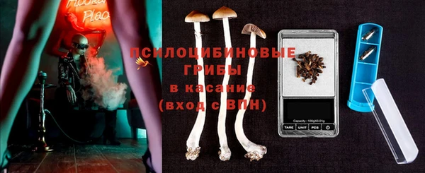 крисы Алексеевка